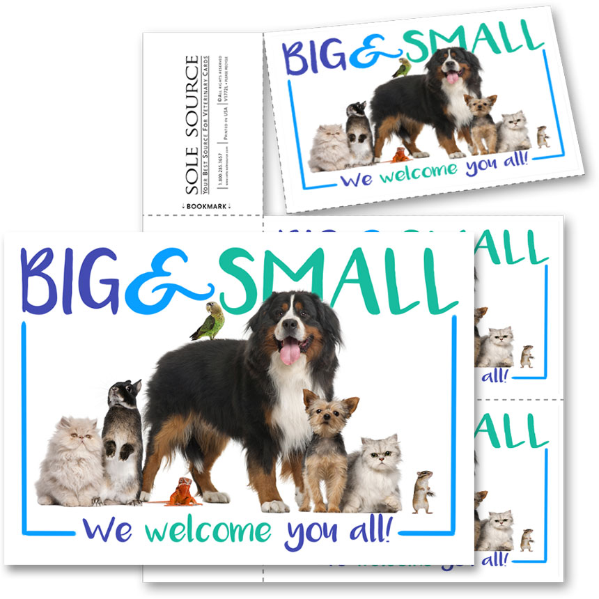 3-Up Laser Veterinary Postcards - Furry Family, Postcards: Sole Source